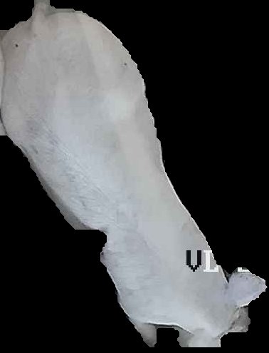 Crop
