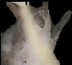 Crop