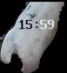 Crop
