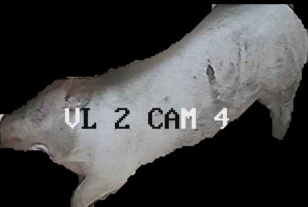 Crop