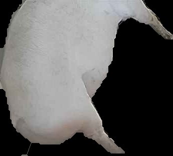 Crop