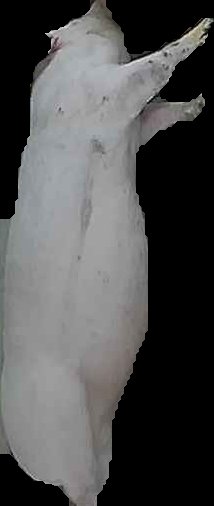 Crop