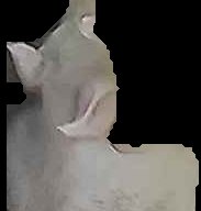 Crop