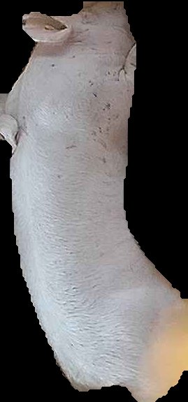 Crop