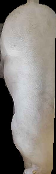 Crop
