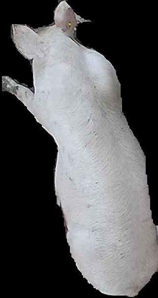 Crop