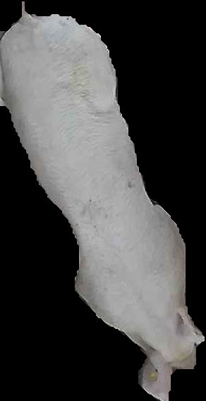Crop