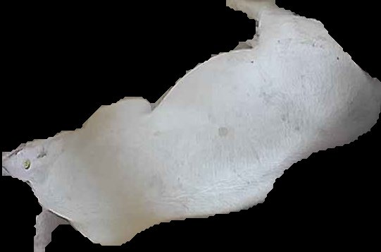 Crop
