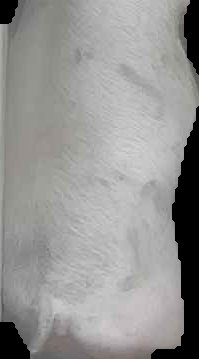 Crop