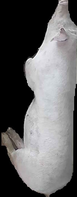 Crop