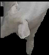 Crop