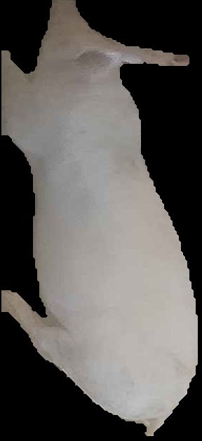 Crop
