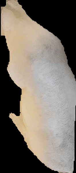 Crop