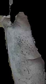 Crop