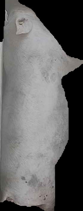 Crop
