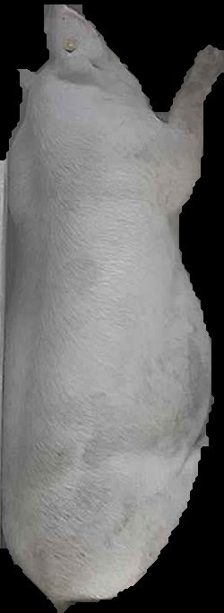 Crop