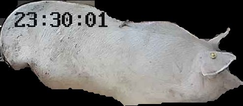 Crop