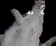 Crop