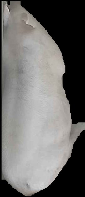Crop