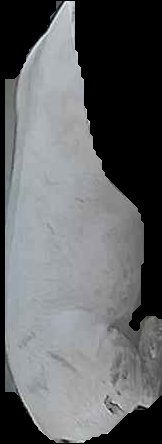 Crop