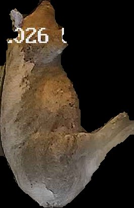 Crop