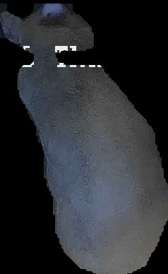 Crop