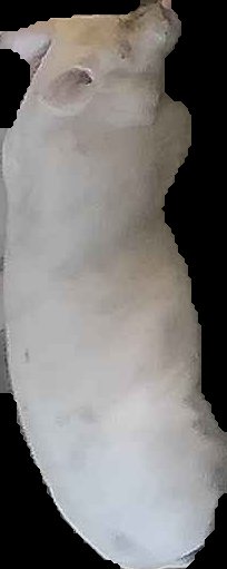 Crop