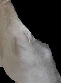 Crop