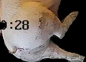 Crop