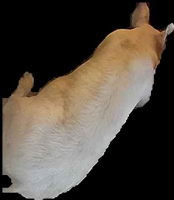 Crop