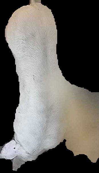 Crop