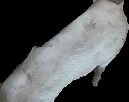 Crop