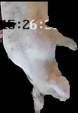 Crop