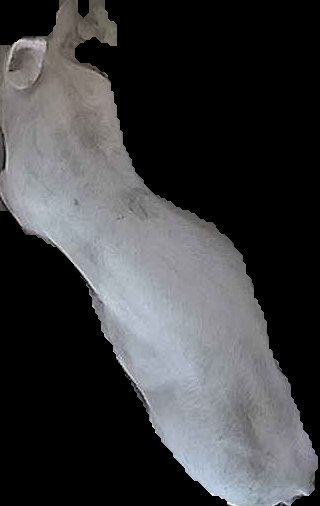 Crop
