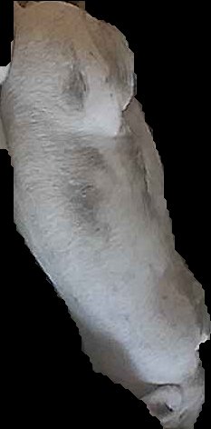 Crop