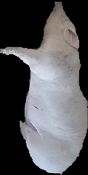 Crop