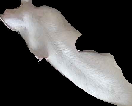 Crop