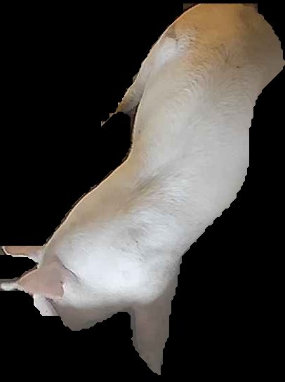 Crop