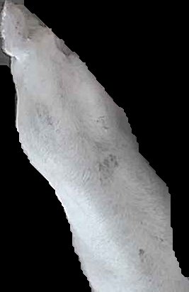 Crop