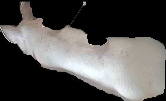 Crop