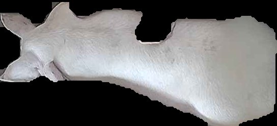 Crop