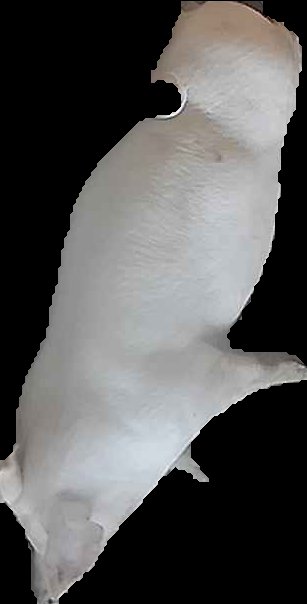 Crop