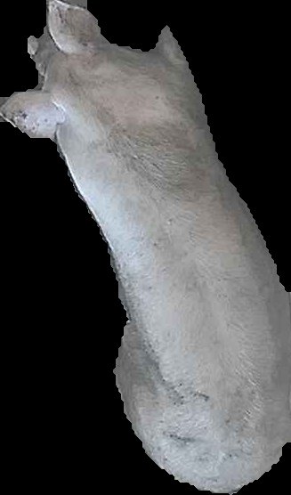 Crop