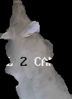 Crop