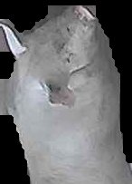 Crop