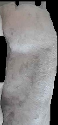 Crop