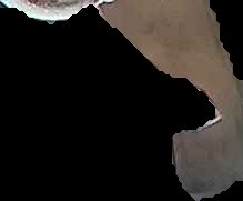 Crop