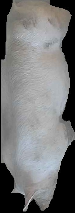 Crop