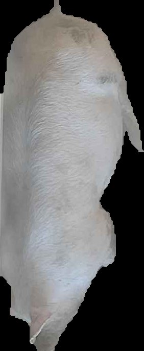 Crop