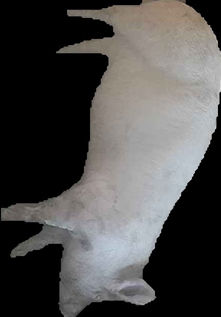 Crop